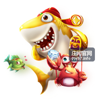庄闲官网资金管理方法示例